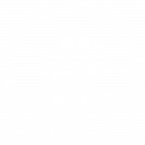   Олимпийский комитет России