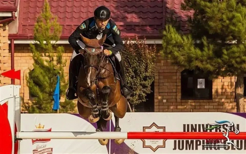      FEI World Jumping Challenge  