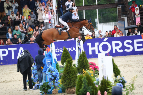     :  ,      HORSEKA! 