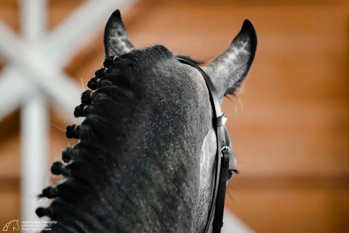  ������� ��������� ���������! 