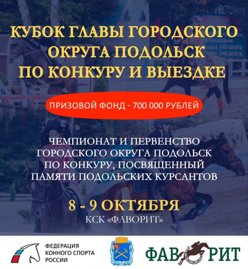 8-9 октября– пройдет «Кубок главы г.о. Подольск» 