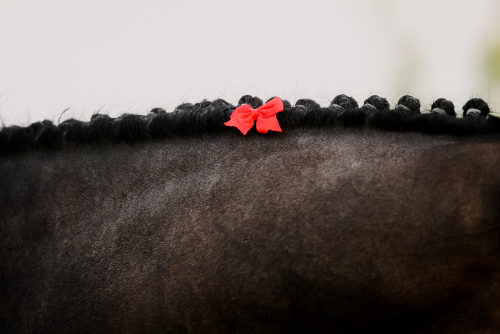  �������� � ������� ������  