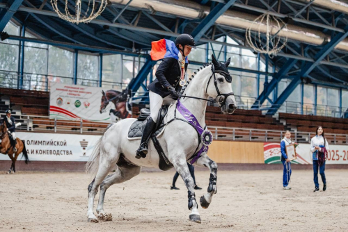  ������ ��������� � ������ � ���������� CCI3*-S � ������� 
