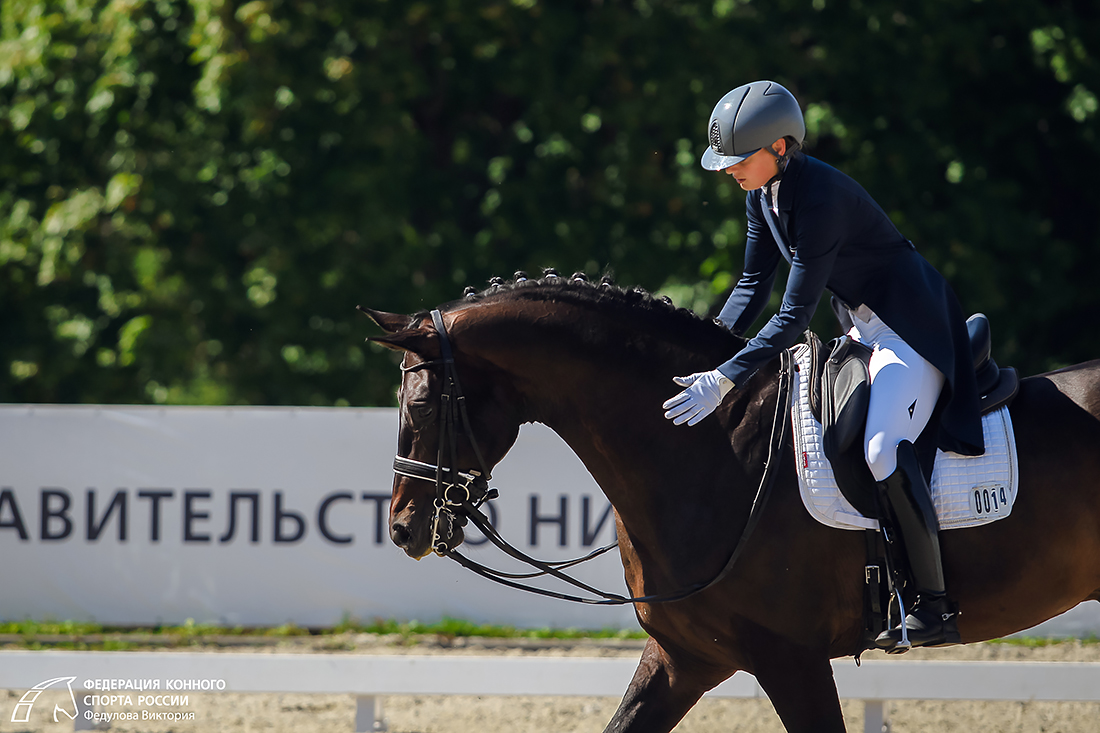 Сайт федерации конного спорта. ФКСР Федерация конного спорта России.